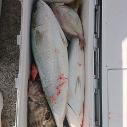 エンペラー 釣果