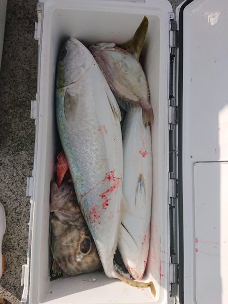 エンペラー 釣果