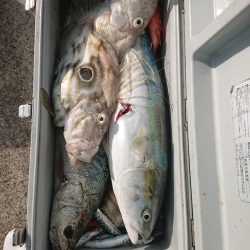 エンペラー 釣果