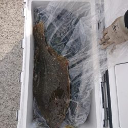 エンペラー 釣果