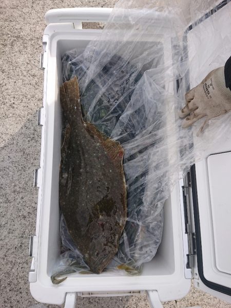 エンペラー 釣果