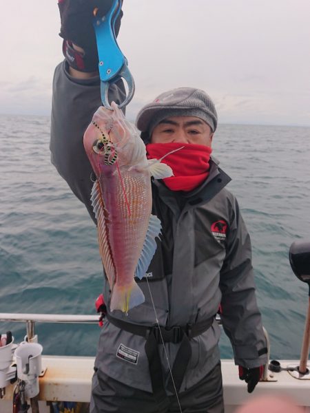 ARCADIAⅡ (アルカディアⅡ) 釣果