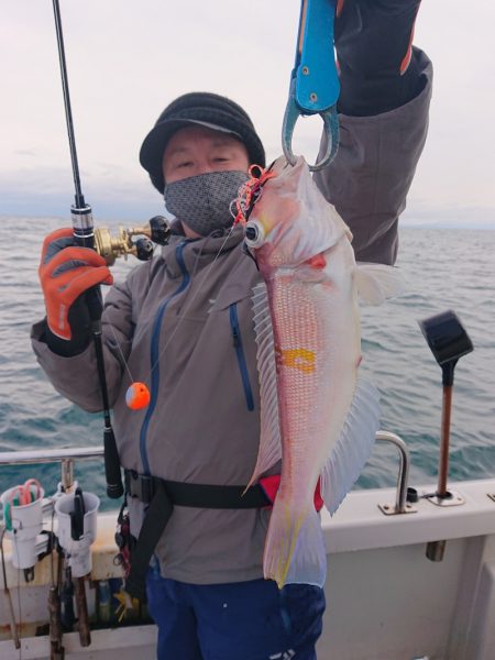 ARCADIAⅡ (アルカディアⅡ) 釣果