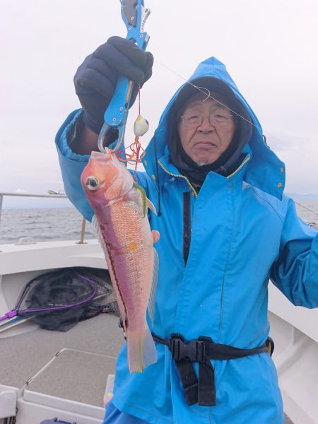 ARCADIAⅡ (アルカディアⅡ) 釣果