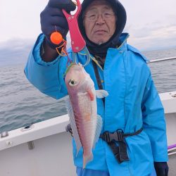 ARCADIAⅡ (アルカディアⅡ) 釣果