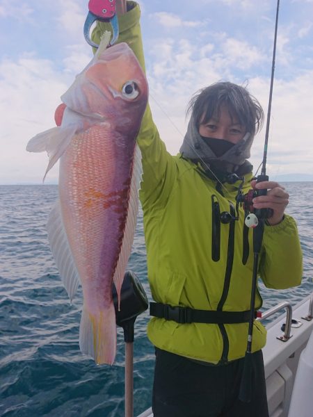 ARCADIAⅡ (アルカディアⅡ) 釣果