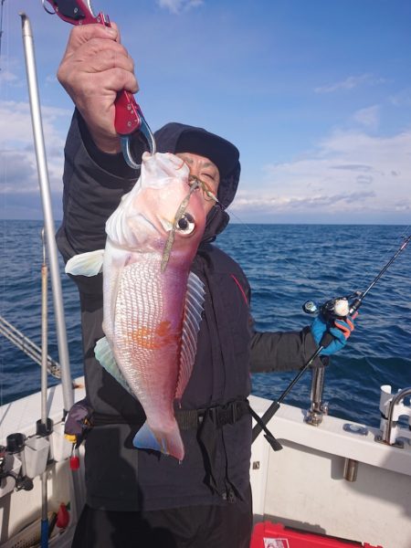 ARCADIAⅡ (アルカディアⅡ) 釣果