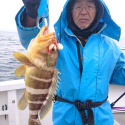 ARCADIAⅡ (アルカディアⅡ) 釣果