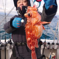 ARCADIAⅡ (アルカディアⅡ) 釣果