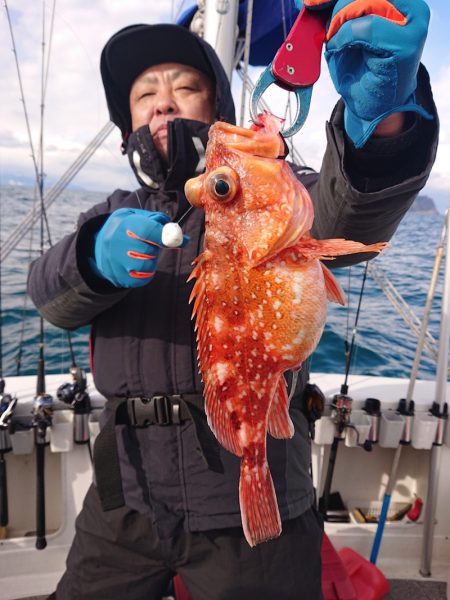 ARCADIAⅡ (アルカディアⅡ) 釣果