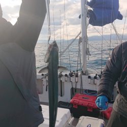 ARCADIAⅡ (アルカディアⅡ) 釣果