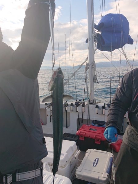 ARCADIAⅡ (アルカディアⅡ) 釣果