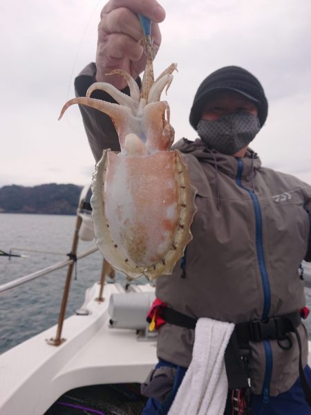 ARCADIAⅡ (アルカディアⅡ) 釣果