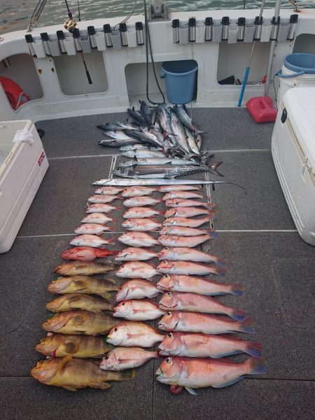 ARCADIAⅡ (アルカディアⅡ) 釣果