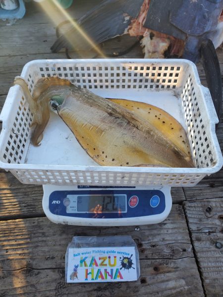 一華丸 釣果