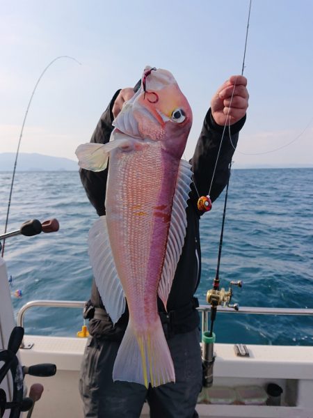 ARCADIAⅡ (アルカディアⅡ) 釣果