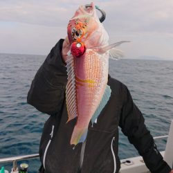 ARCADIAⅡ (アルカディアⅡ) 釣果