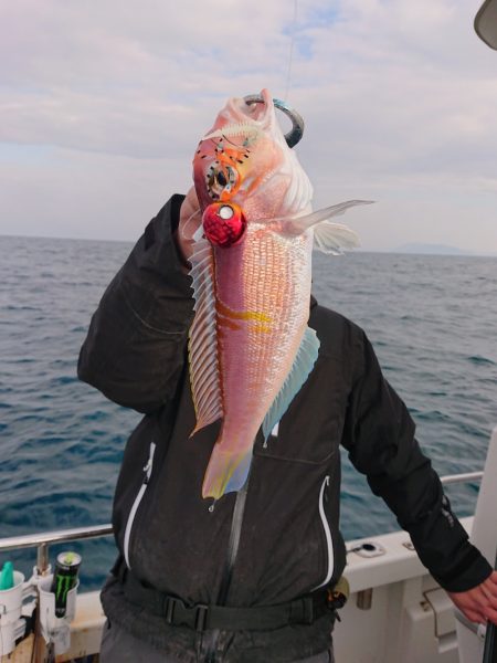 ARCADIAⅡ (アルカディアⅡ) 釣果