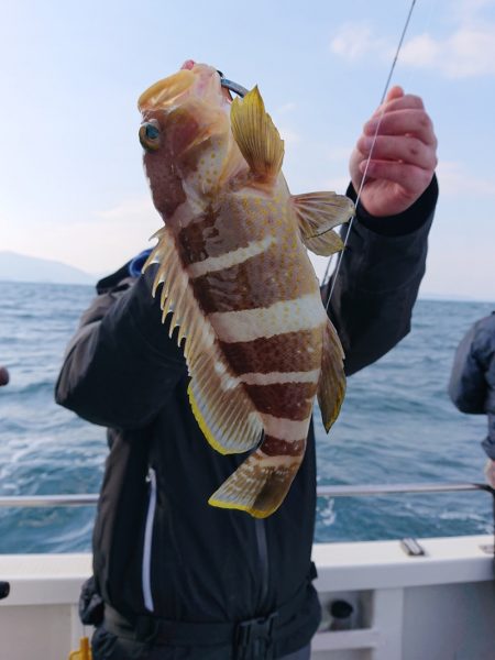 ARCADIAⅡ (アルカディアⅡ) 釣果