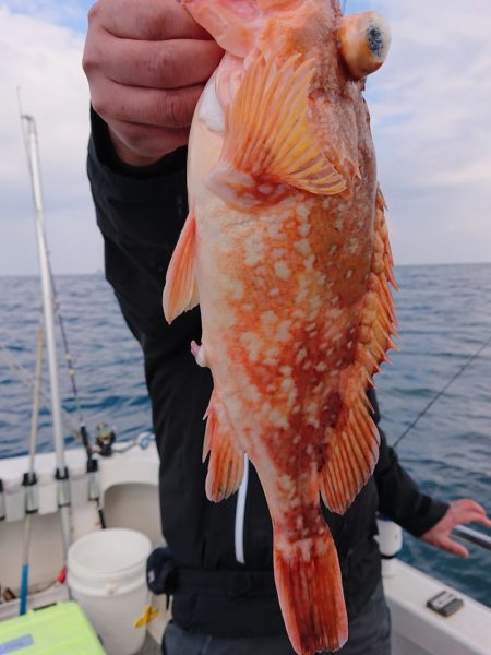 ARCADIAⅡ (アルカディアⅡ) 釣果