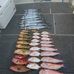 ARCADIAⅡ (アルカディアⅡ) 釣果