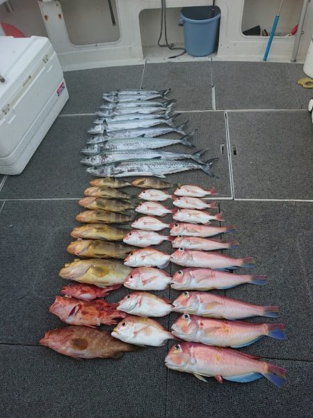 ARCADIAⅡ (アルカディアⅡ) 釣果