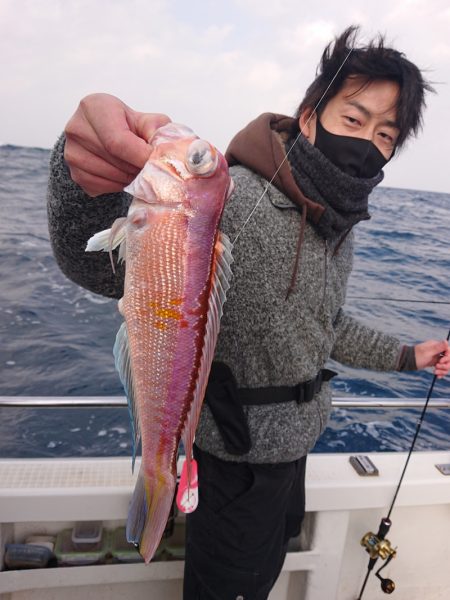 ARCADIAⅡ （アルカディアⅡ） 釣果