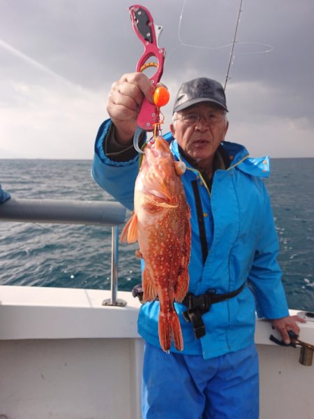 ARCADIAⅡ （アルカディアⅡ） 釣果