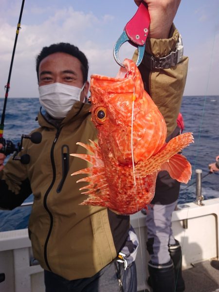 ARCADIAⅡ （アルカディアⅡ） 釣果