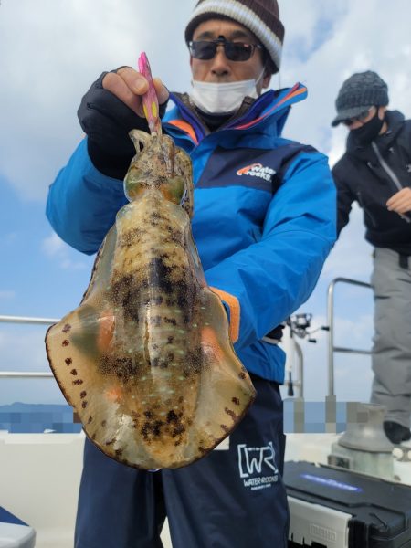 ソルトウォーターガイドフレンズ 釣果