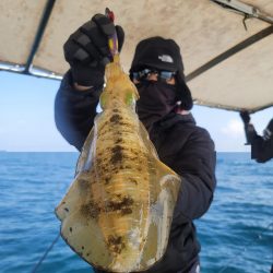 ソルトウォーターガイドフレンズ 釣果