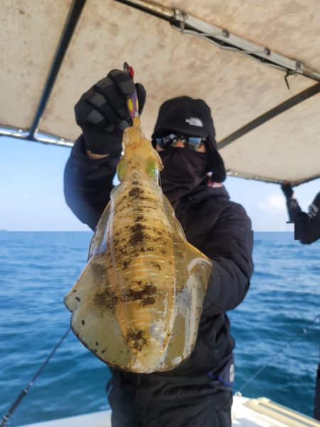 ソルトウォーターガイドフレンズ 釣果