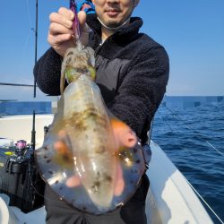 ソルトウォーターガイドフレンズ 釣果