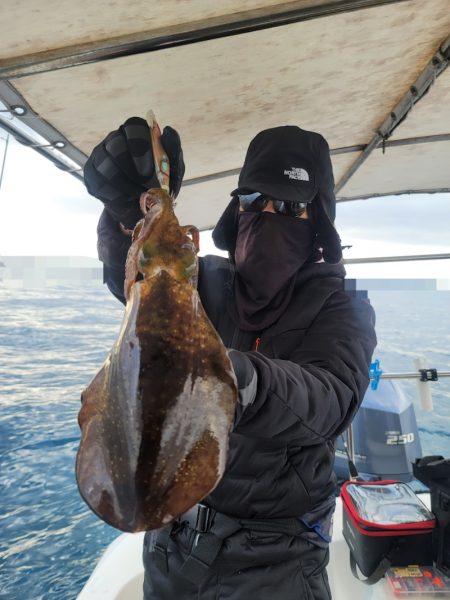 ソルトウォーターガイドフレンズ 釣果