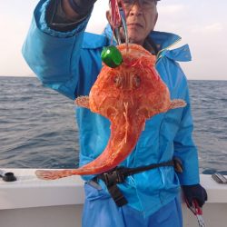 ARCADIAⅡ （アルカディアⅡ） 釣果