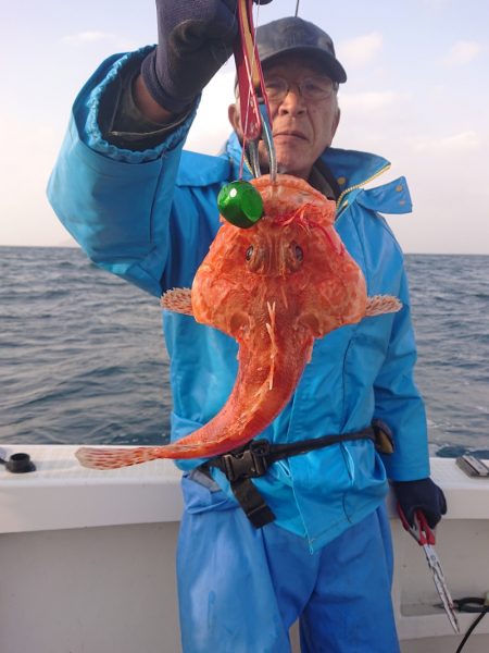 ARCADIAⅡ （アルカディアⅡ） 釣果