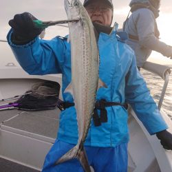 ARCADIAⅡ （アルカディアⅡ） 釣果