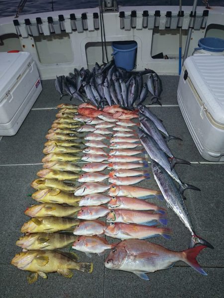 ARCADIAⅡ （アルカディアⅡ） 釣果