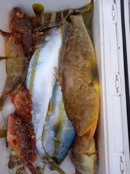 第二龍勢丸 釣果