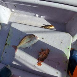 海龍丸（石川） 釣果