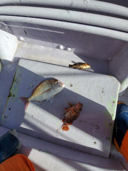 海龍丸（石川） 釣果