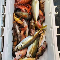 海龍丸（石川） 釣果