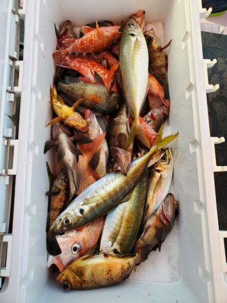 海龍丸（石川） 釣果