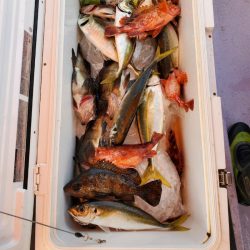 海龍丸（石川） 釣果