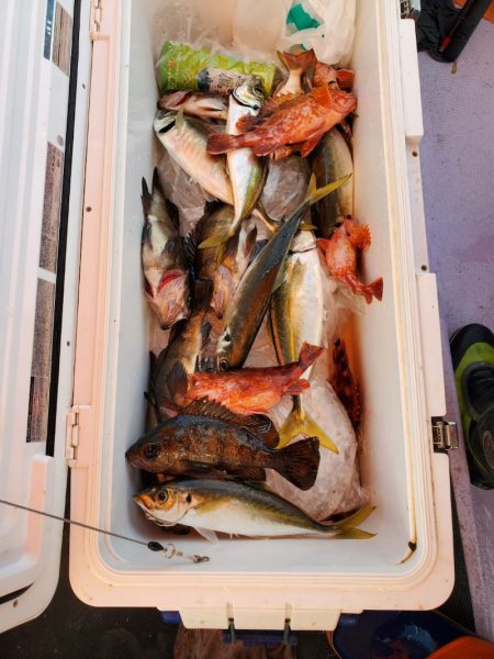 海龍丸（石川） 釣果
