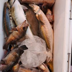 海龍丸（石川） 釣果