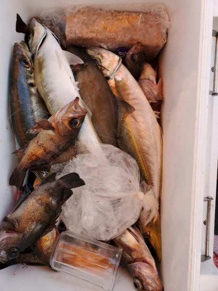 海龍丸（石川） 釣果