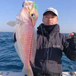 ARCADIAⅡ （アルカディアⅡ） 釣果