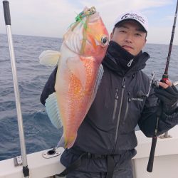 ARCADIAⅡ （アルカディアⅡ） 釣果