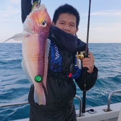 ARCADIAⅡ （アルカディアⅡ） 釣果